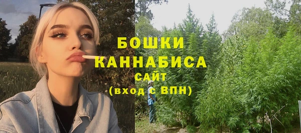 крисы Белокуриха