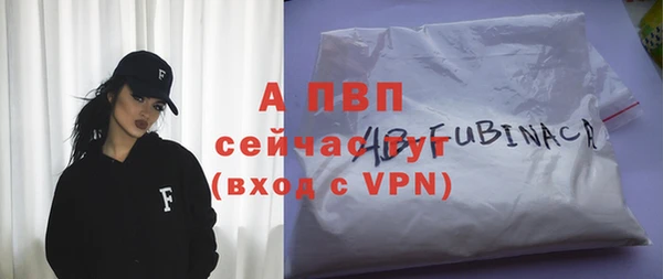 крисы Белокуриха