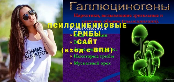 крисы Белокуриха